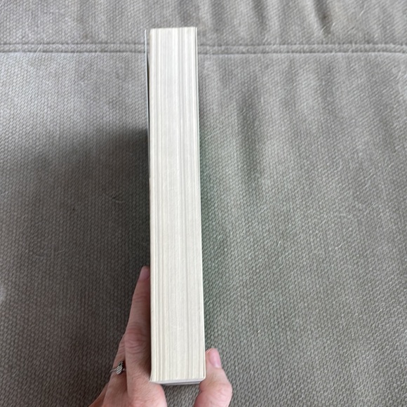 Ysabel - Guy Gavriel Kay. Softcover. Novel. Supernatural. Thriller. - Picture 7 of 10